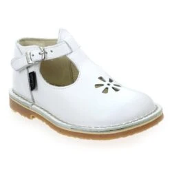 ASTER BIMBO - Cognac