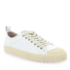 Blackstone VG61 - Blanc