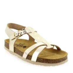 Plakton CROSS E22 - Platine