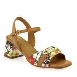 18252 - Multicolore Camel