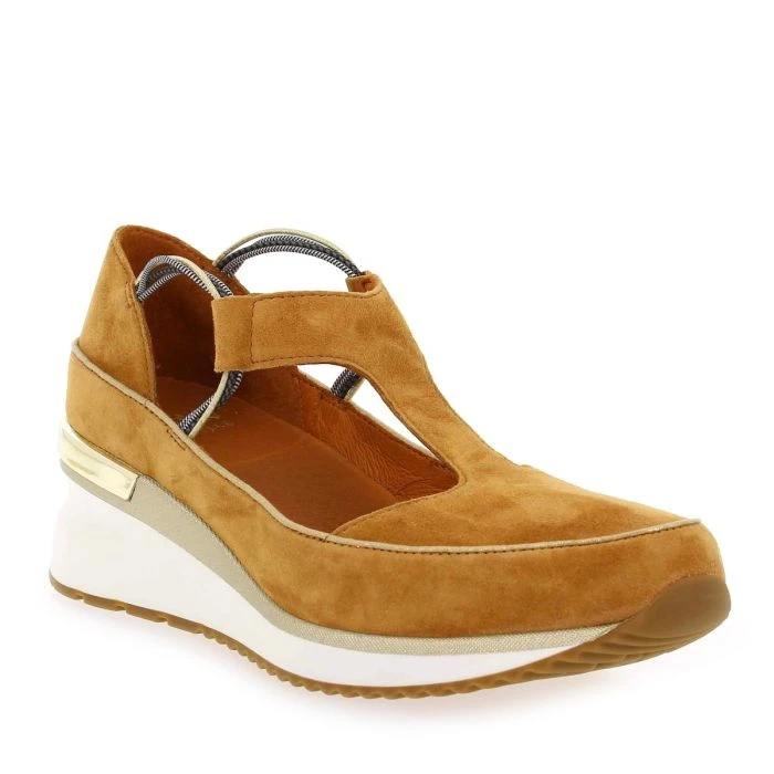 VASAS - Camel 1 VASAS - Camel