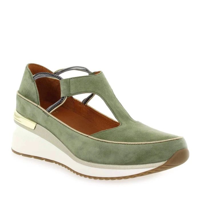 VASAS - Camel 2 VASAS - Camel – Image 2