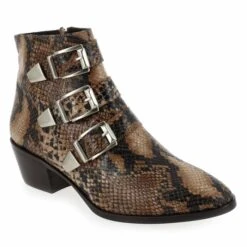 JAIME - Camel Python